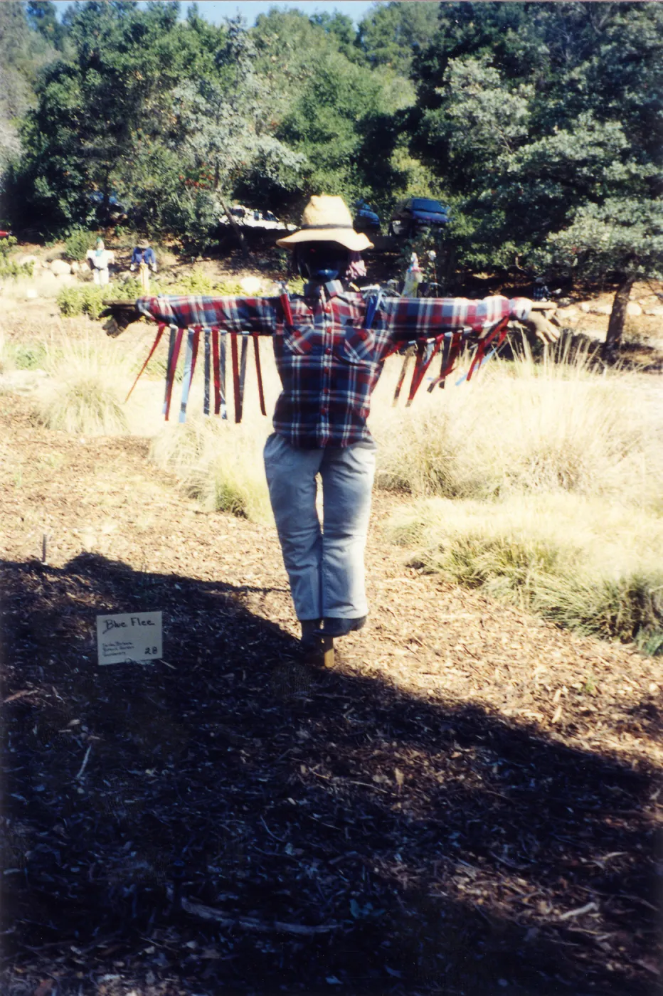 Scarecrow Contest