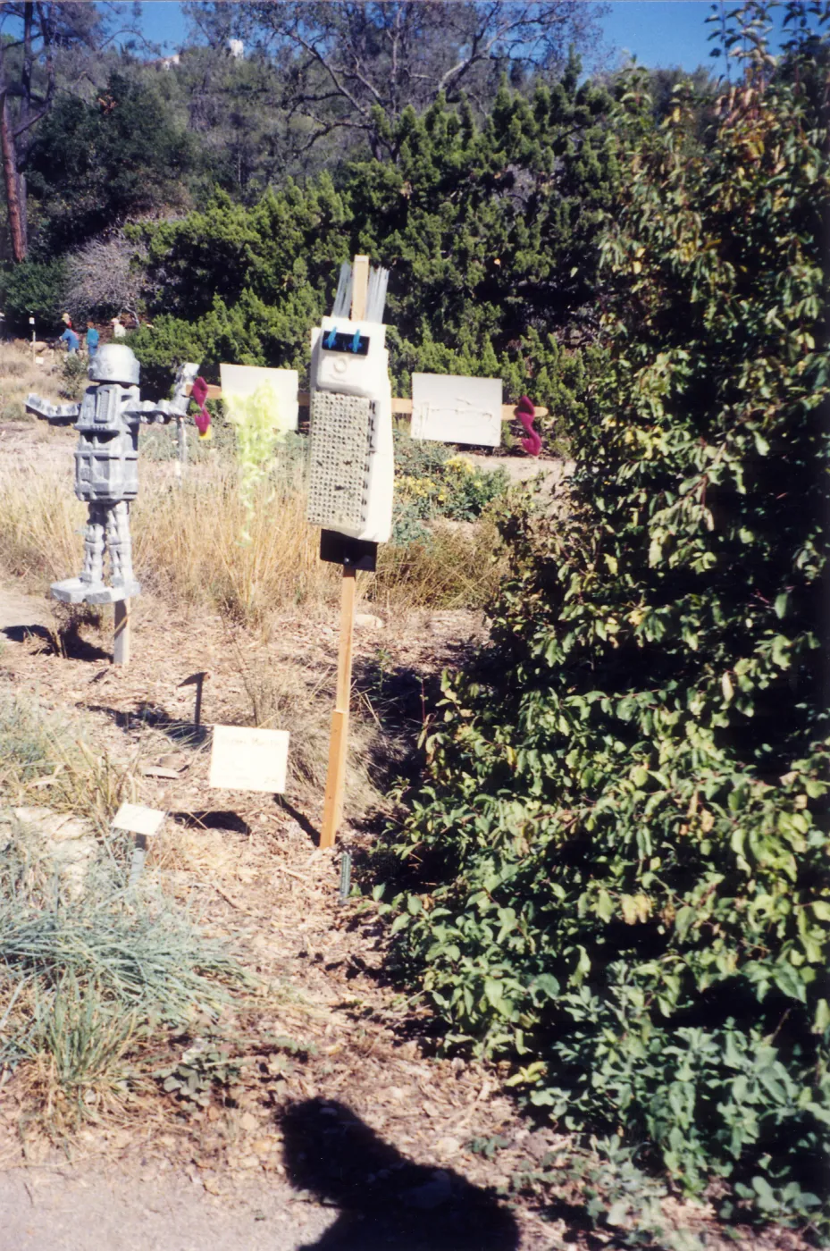 Scarecrow Contest