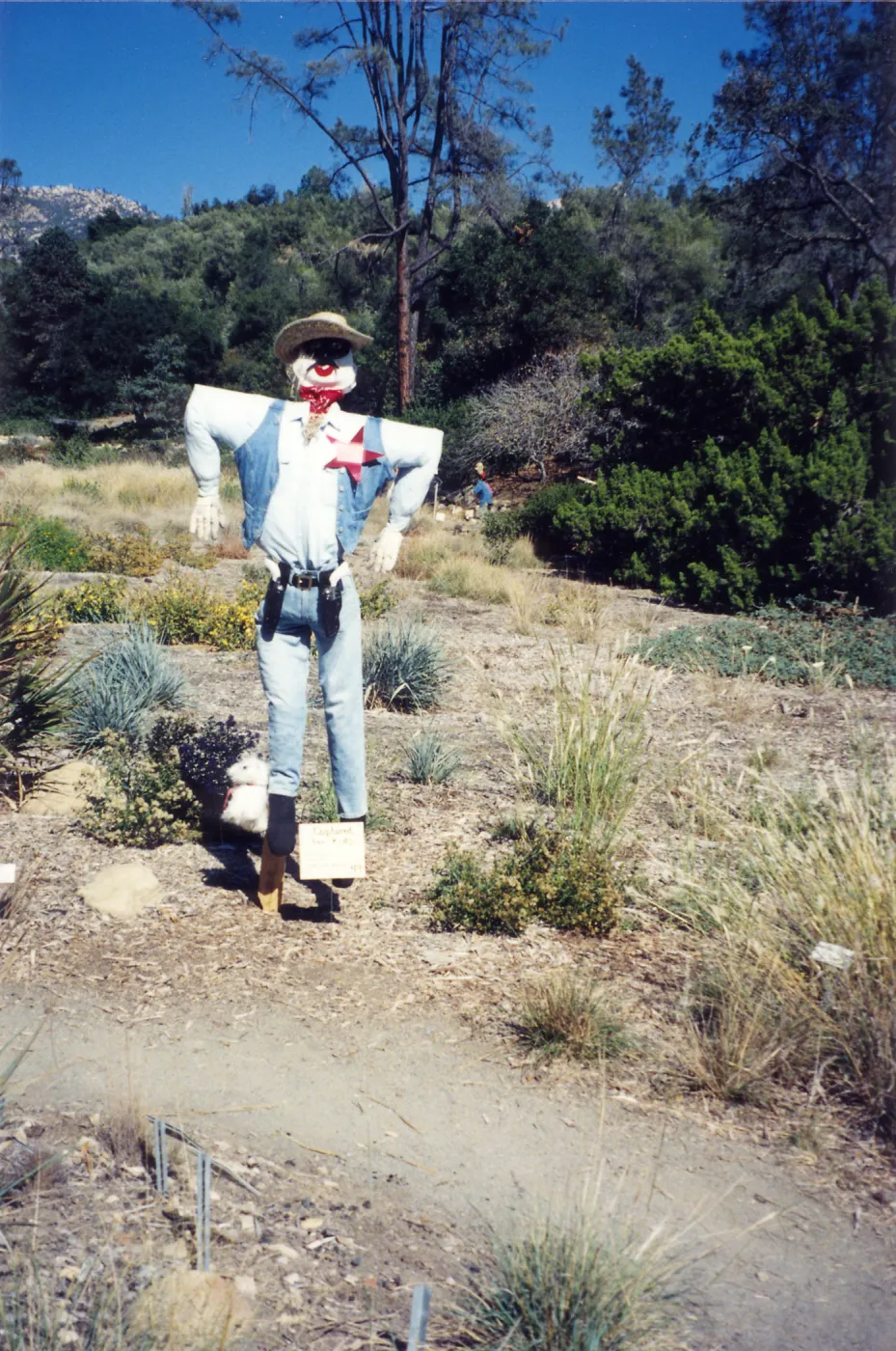 Scarecrow Contest