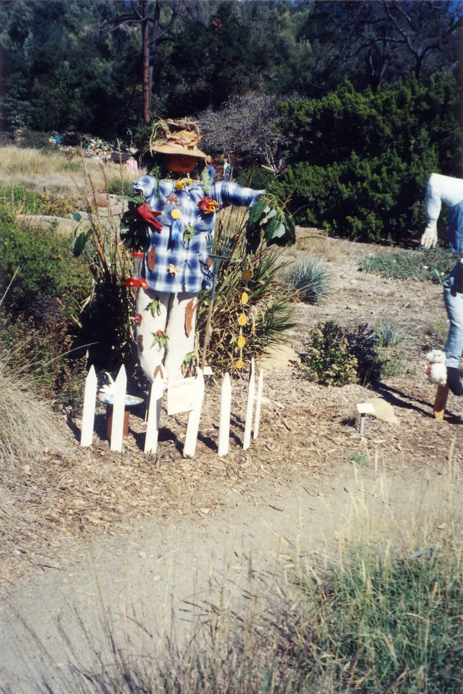 Scarecrow Contest