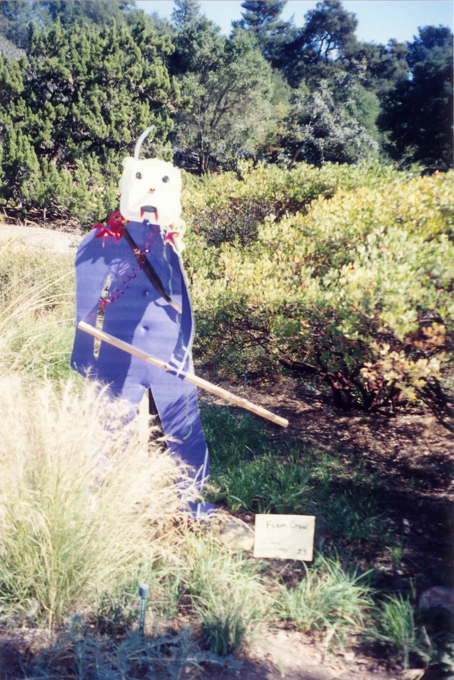 Scarecrow Contest