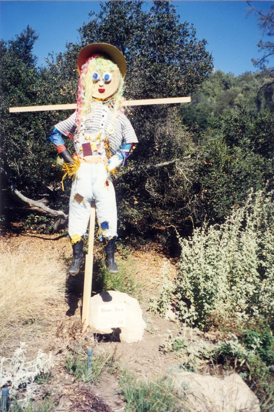 Scarecrow Contest