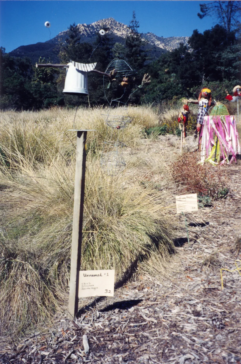 Scarecrow Contest
