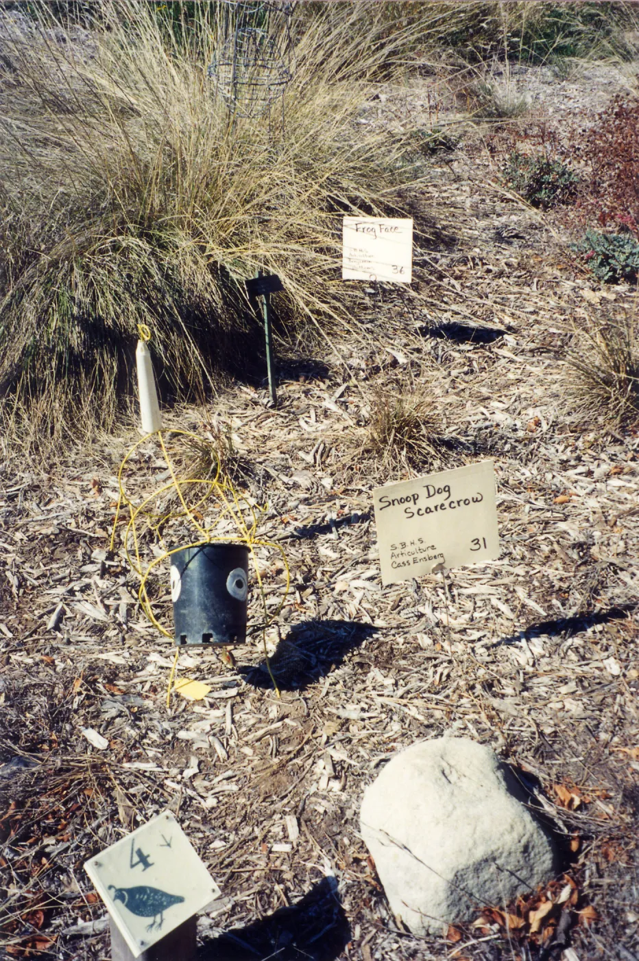 Scarecrow Contest