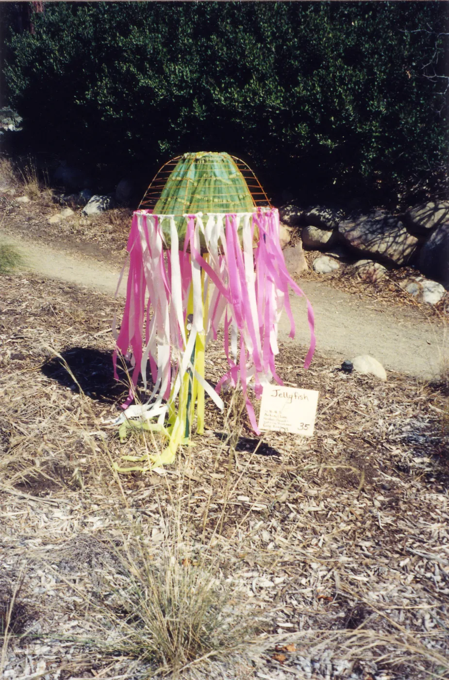 Scarecrow Contest