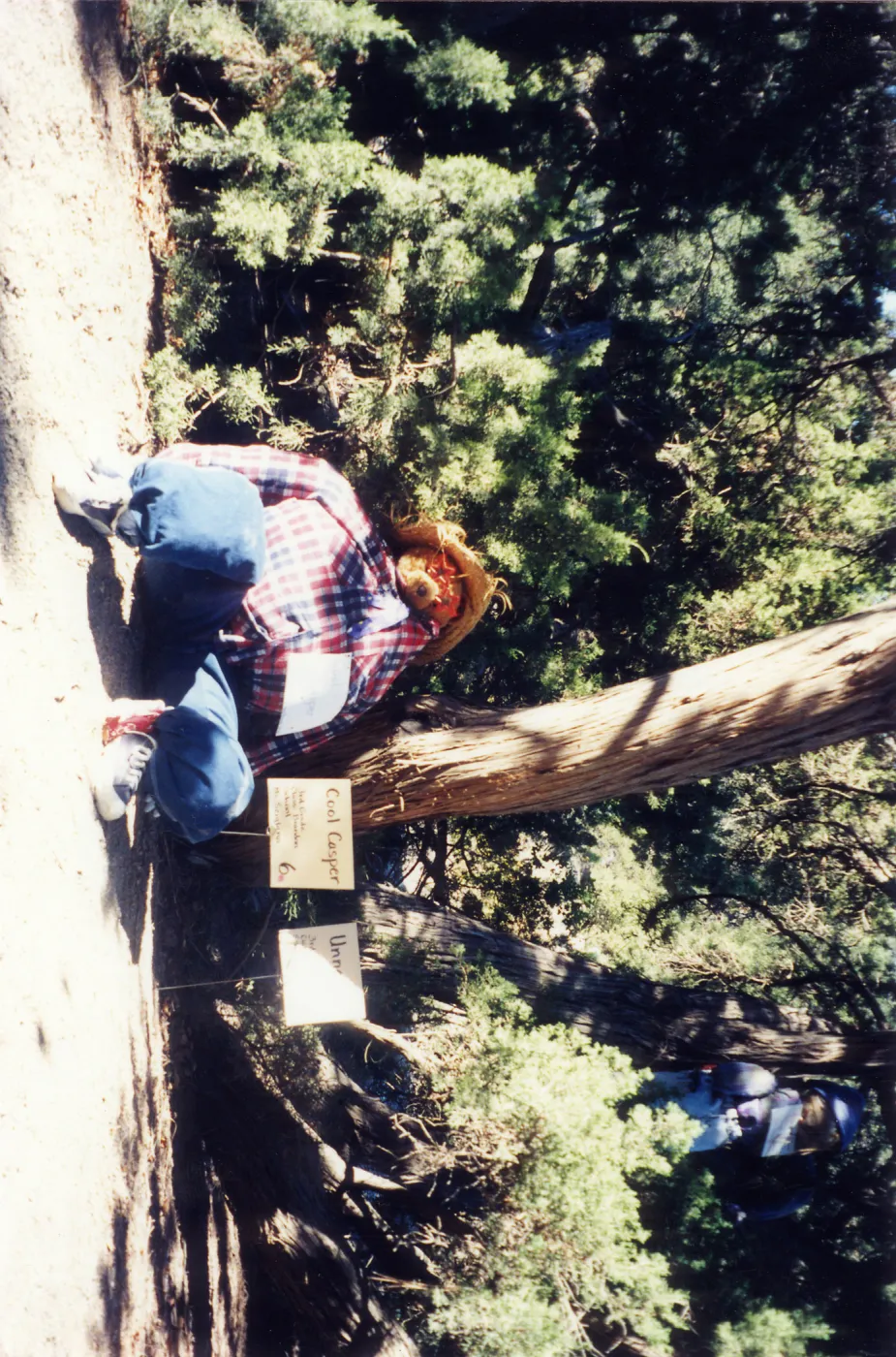 Scarecrow Contest