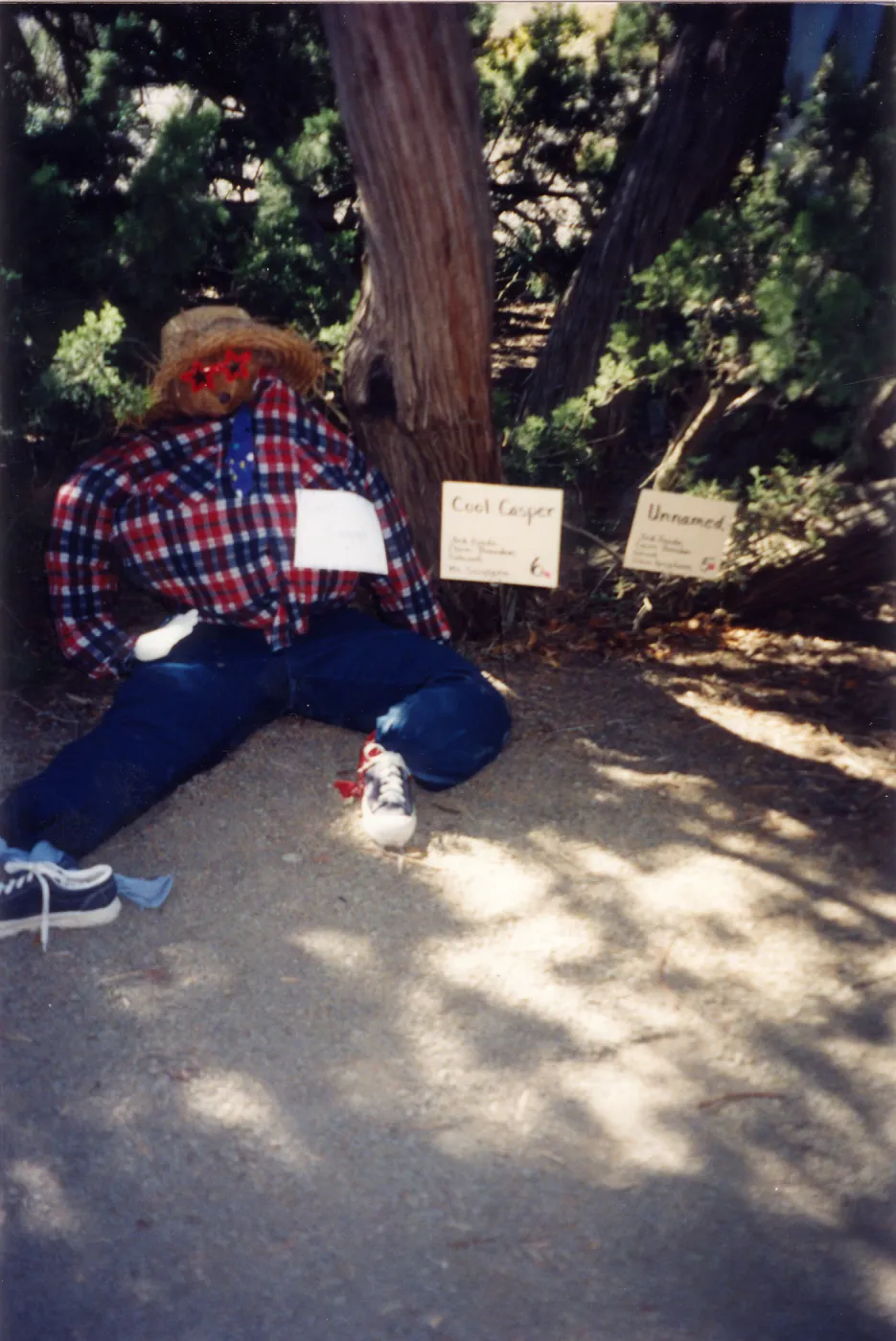 Scarecrow Contest