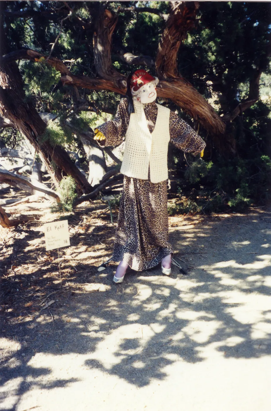 Scarecrow Contest