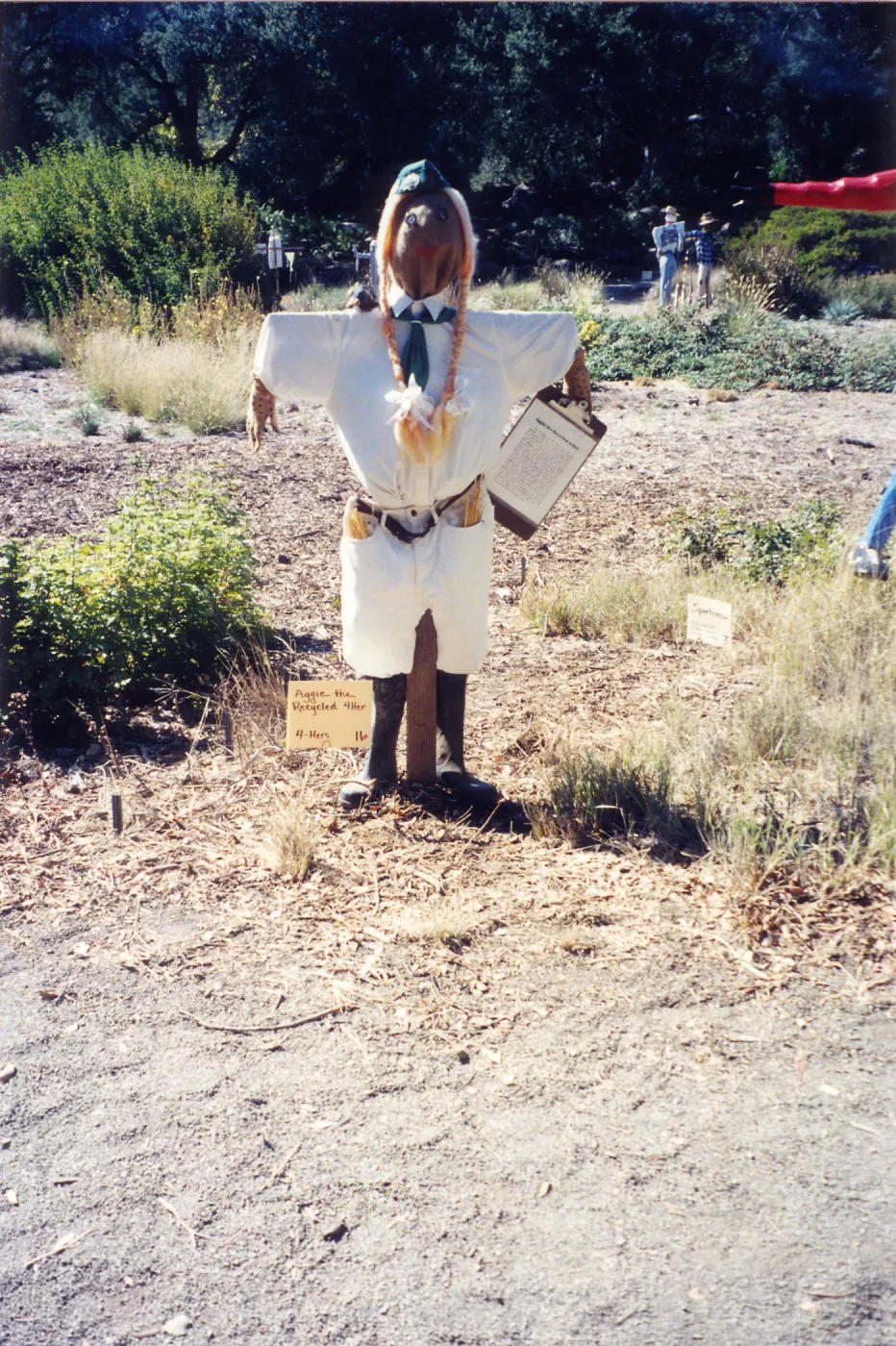 Scarecrow Contest