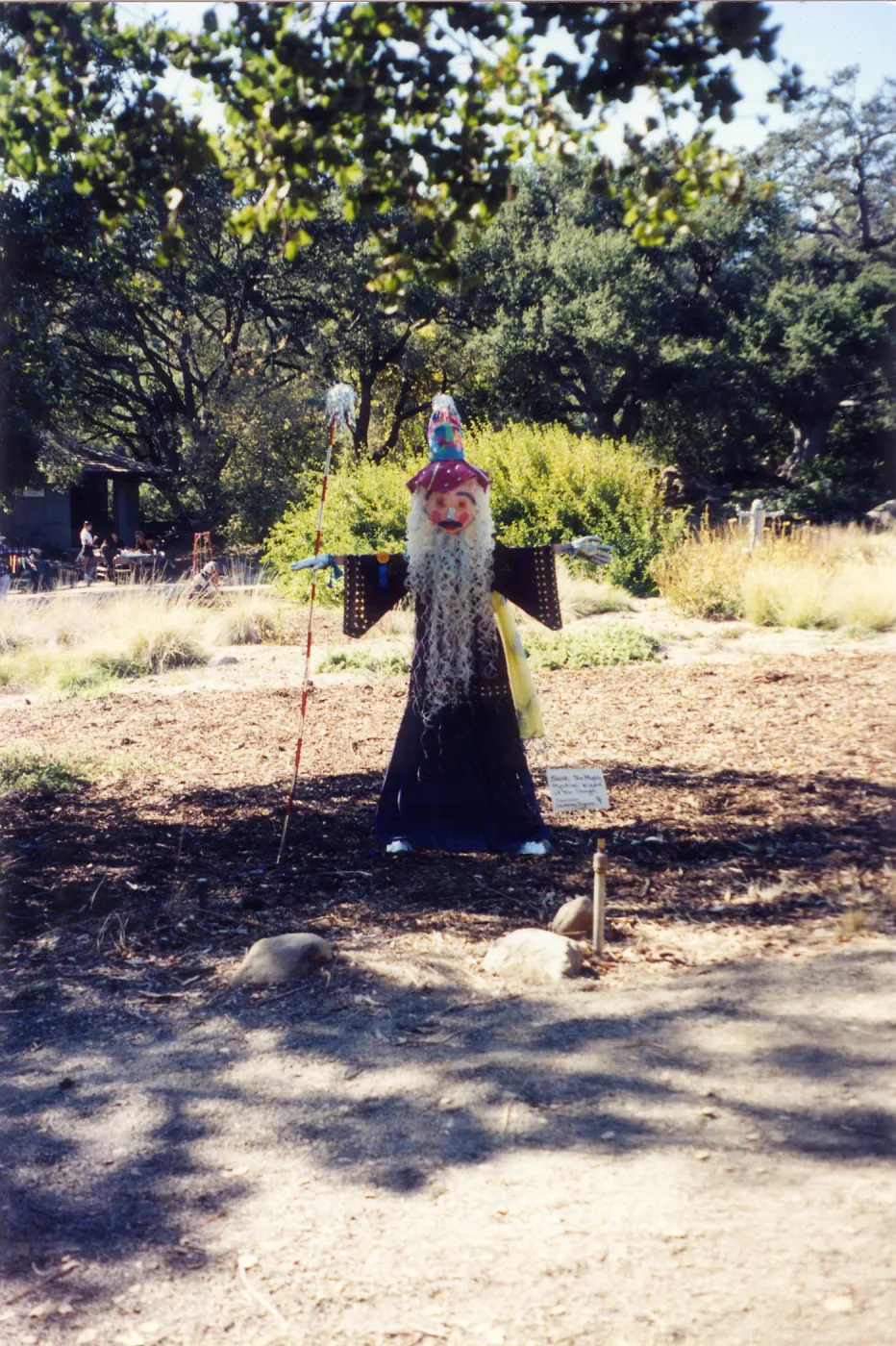 Scarecrow Contest