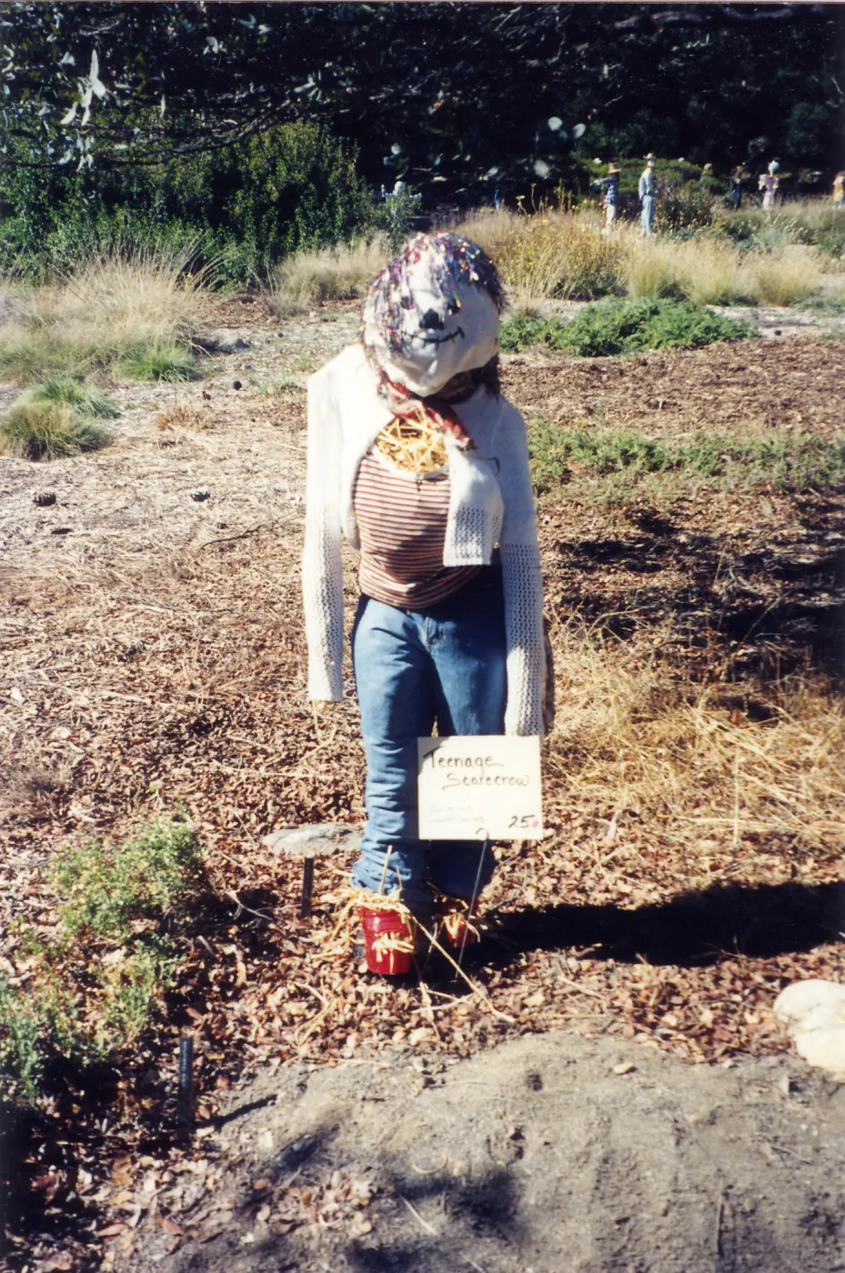 Scarecrow Contest