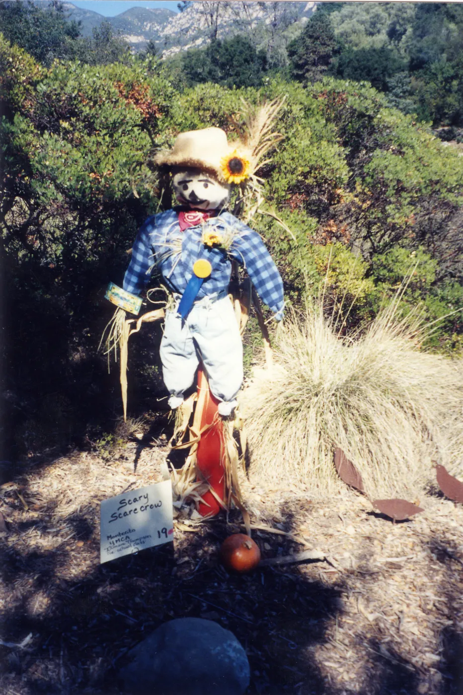 Scarecrow Contest
