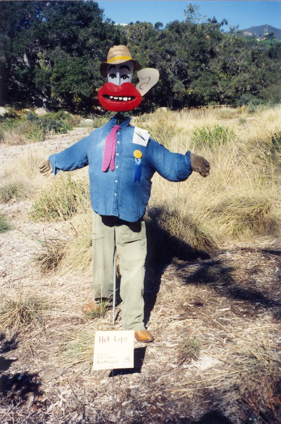 Scarecrow Contest