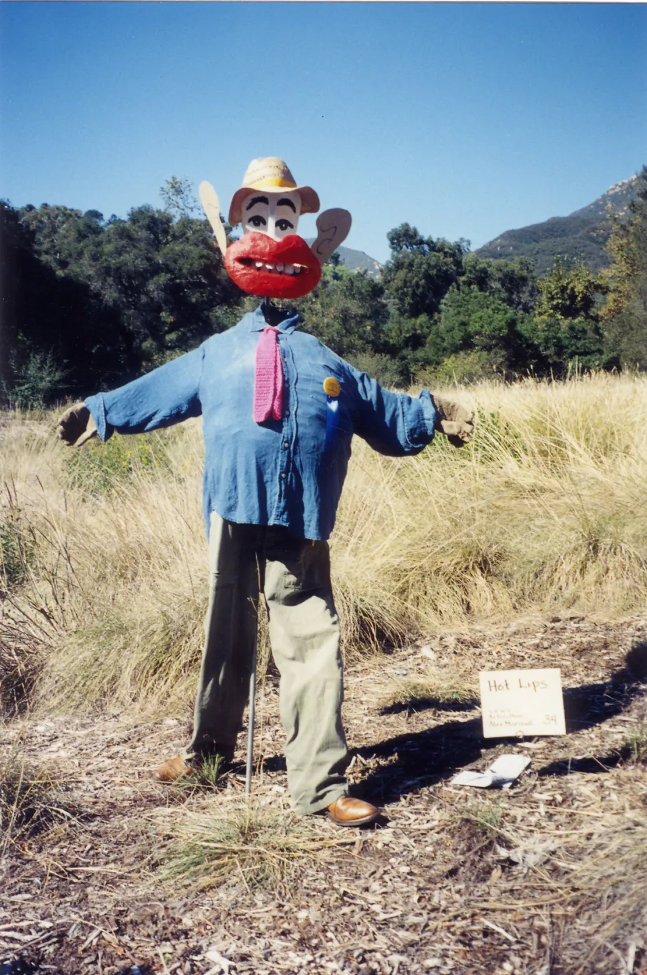 Scarecrow Contest