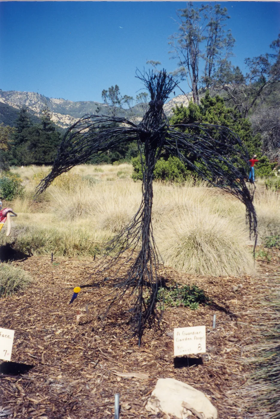 Scarecrow Contest