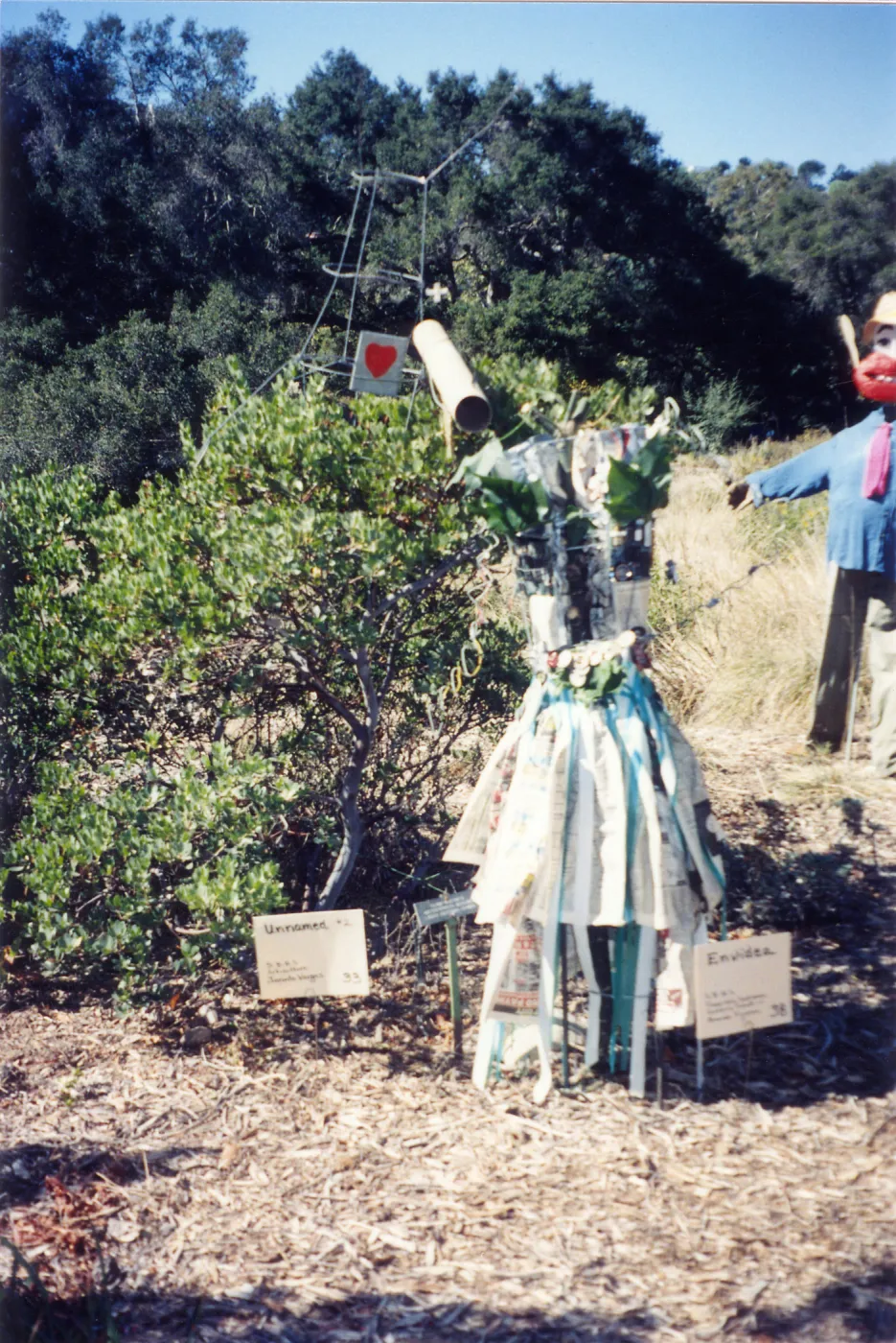 Scarecrow Contest