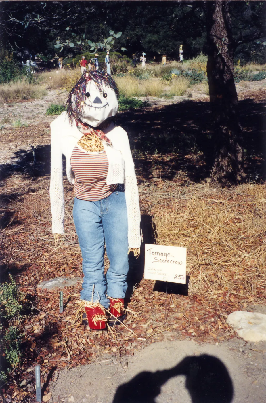 Scarecrow Contest