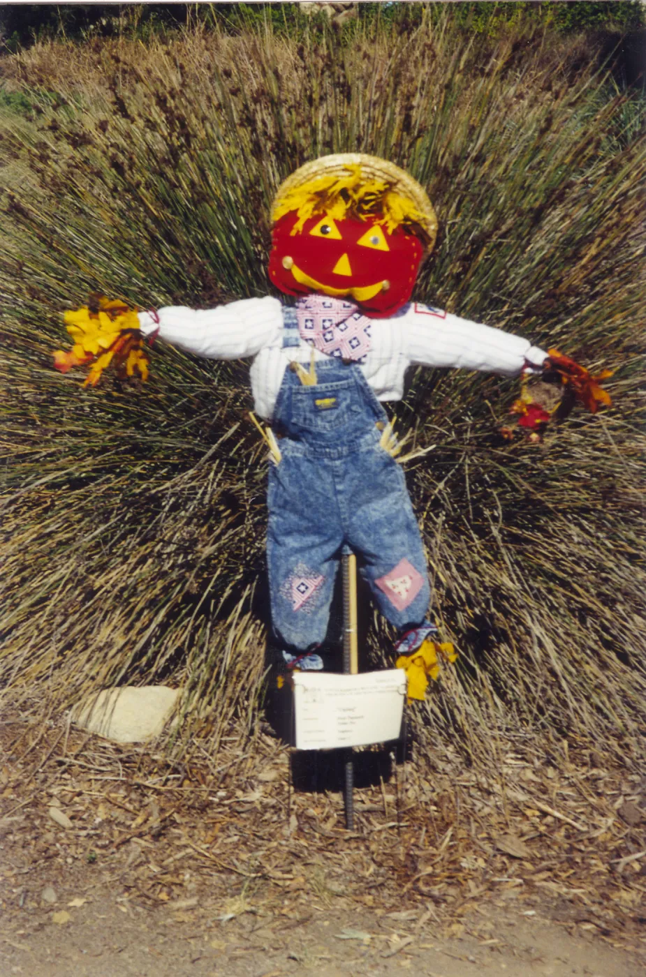 Scarecrow Contest