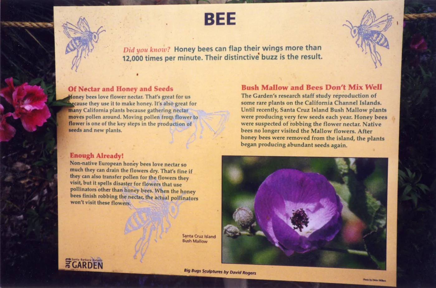 Big Bugs Exhibit--Bee