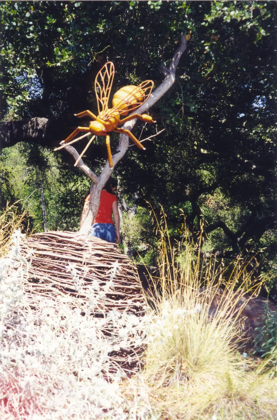 Big Bugs Exhibit
