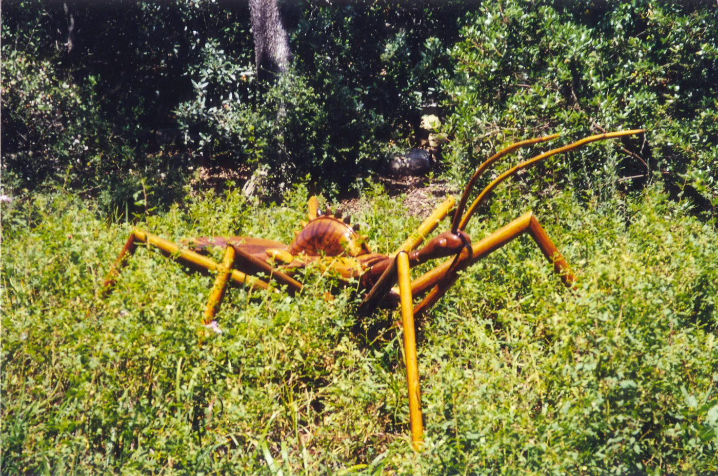 Big Bugs Exhibit