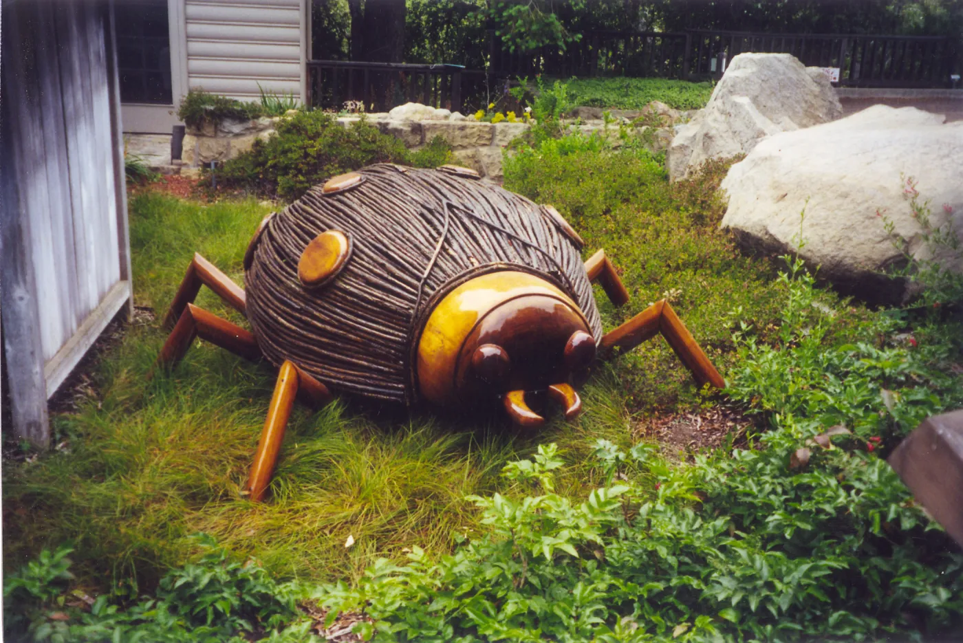 Big Bugs Exhibit--Ladybug