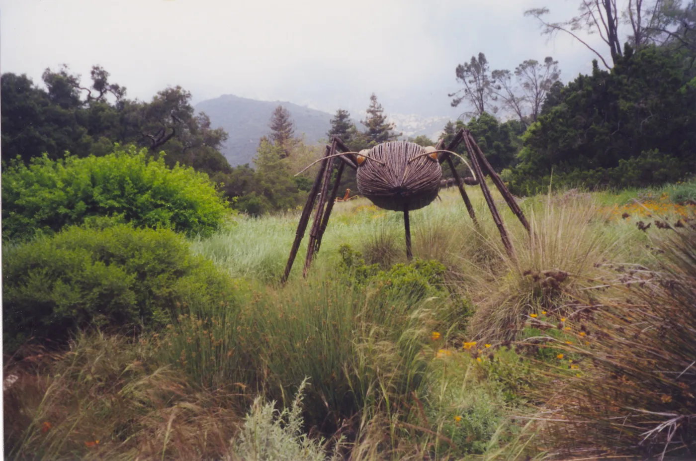 Big Bugs Exhibit--Ant