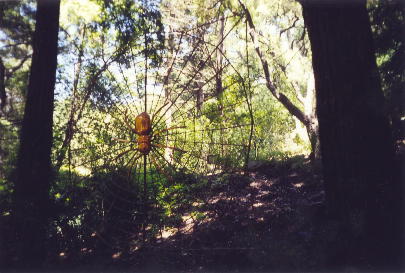 Big Bugs Exhibit--Spider