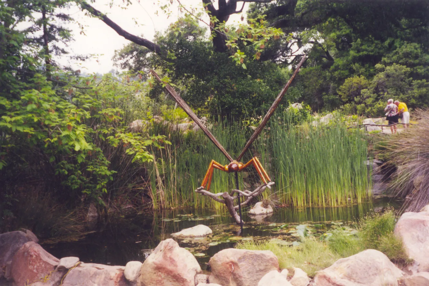 Big Bugs Exhibit--Damselfly
