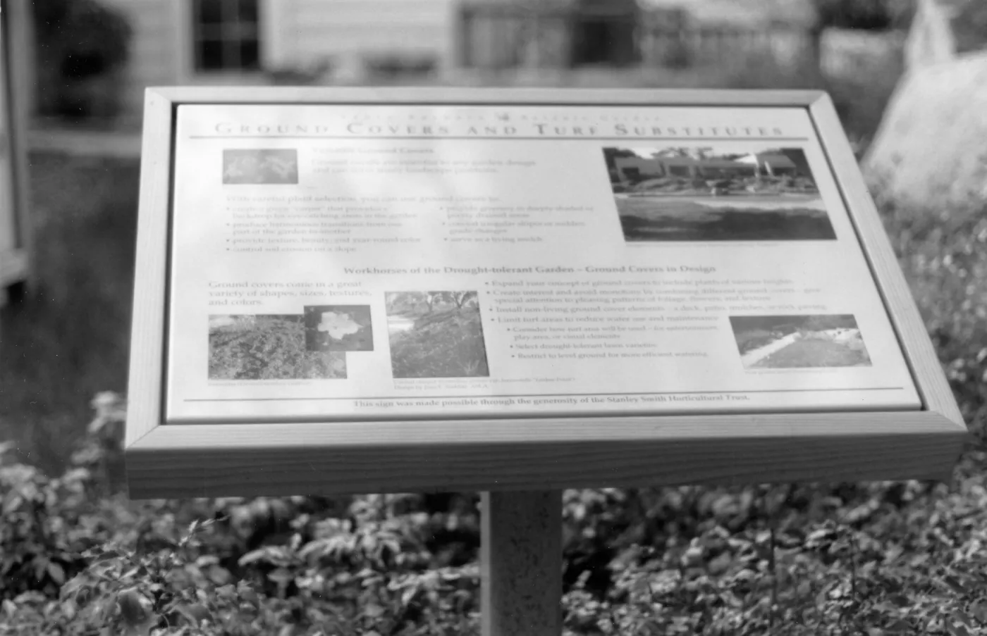 Ground Covers and Turf Substitutes interpretive sign