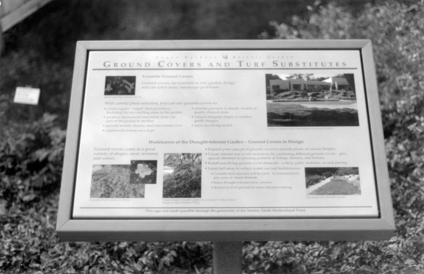Ground Covers and Turf Substitutes interpretive sign