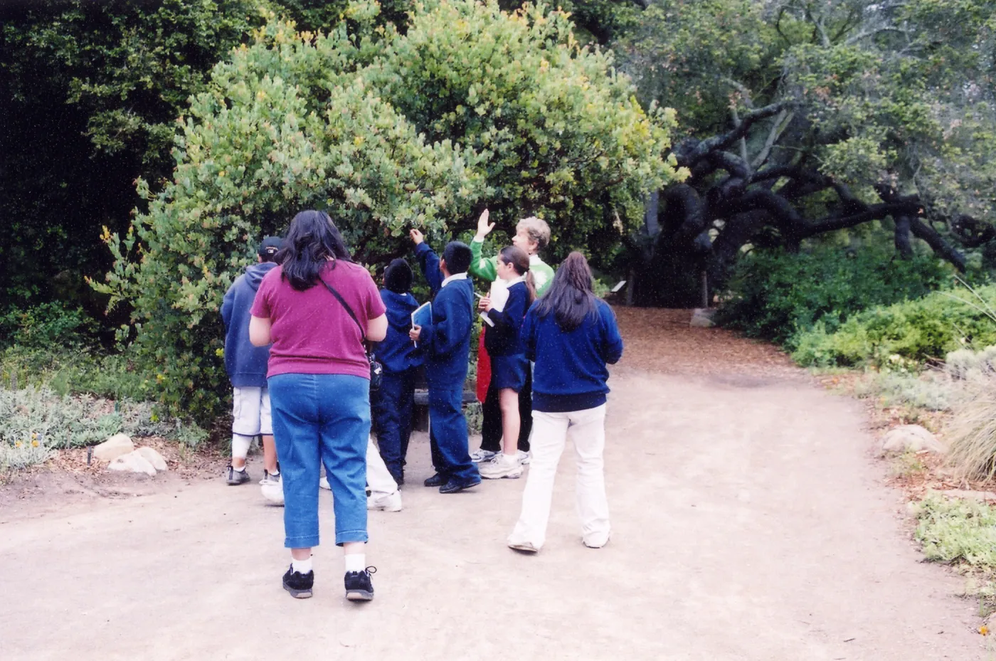 Docent and schoolchildren