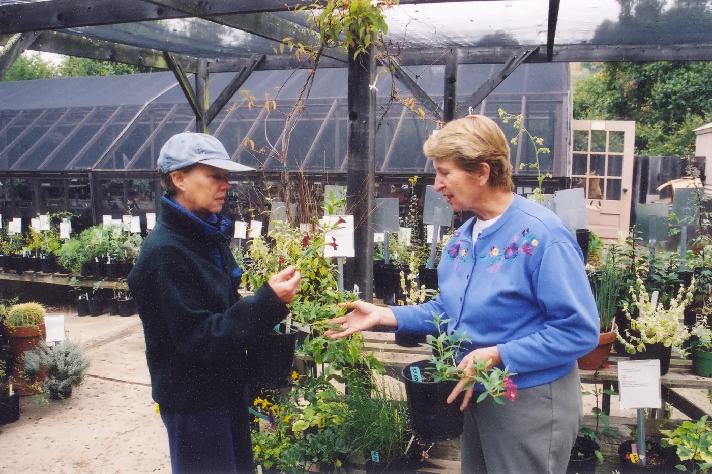 Mary Shehan with visitor in nursery