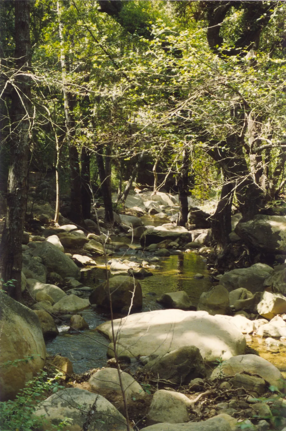 Mission Dam