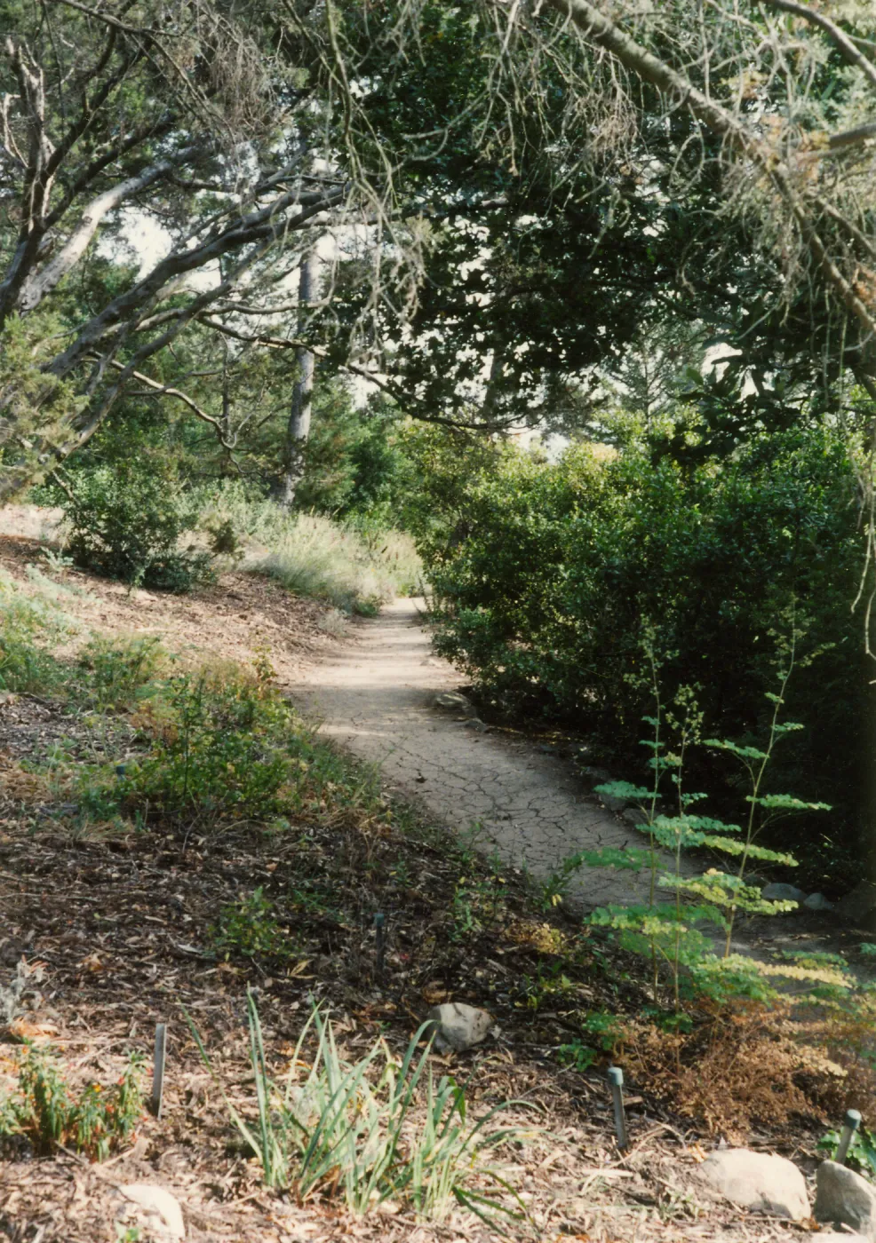 Porter Trail