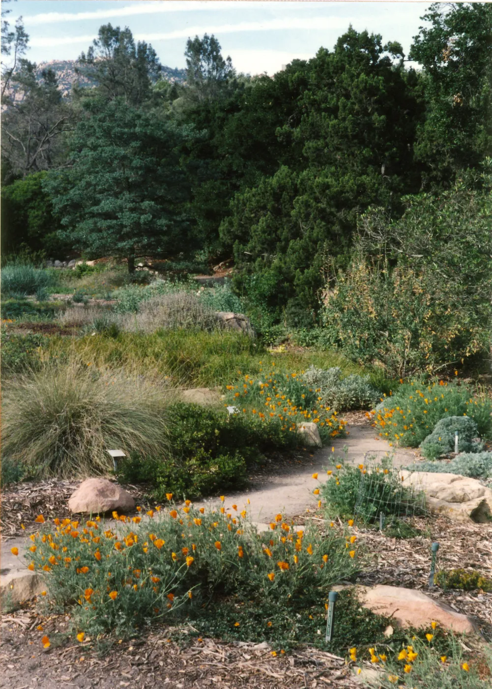 Meadow, upper east side