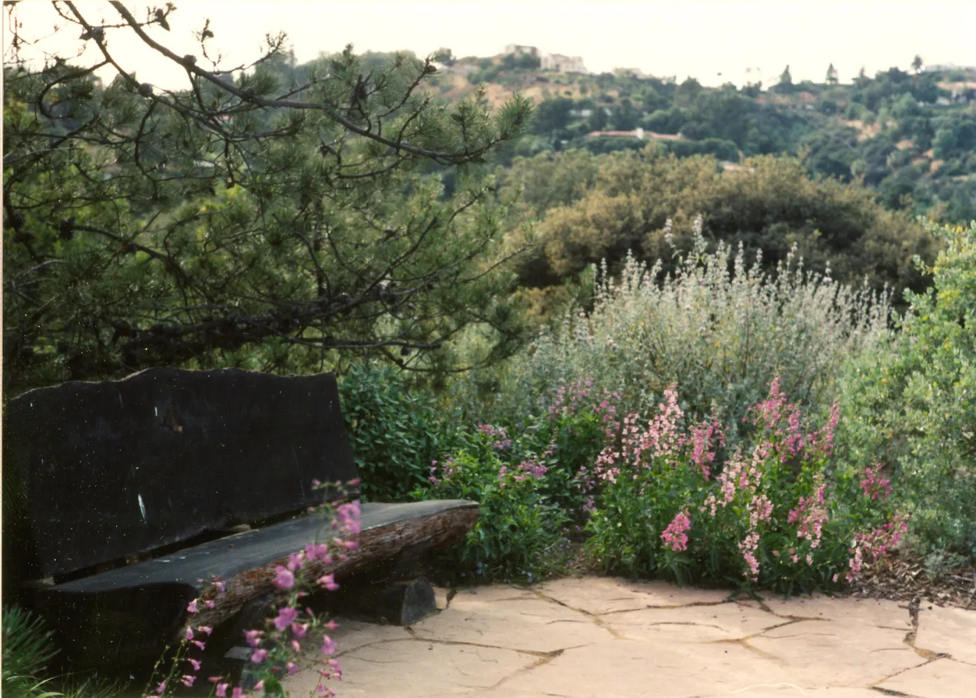 Porter Trail, bench