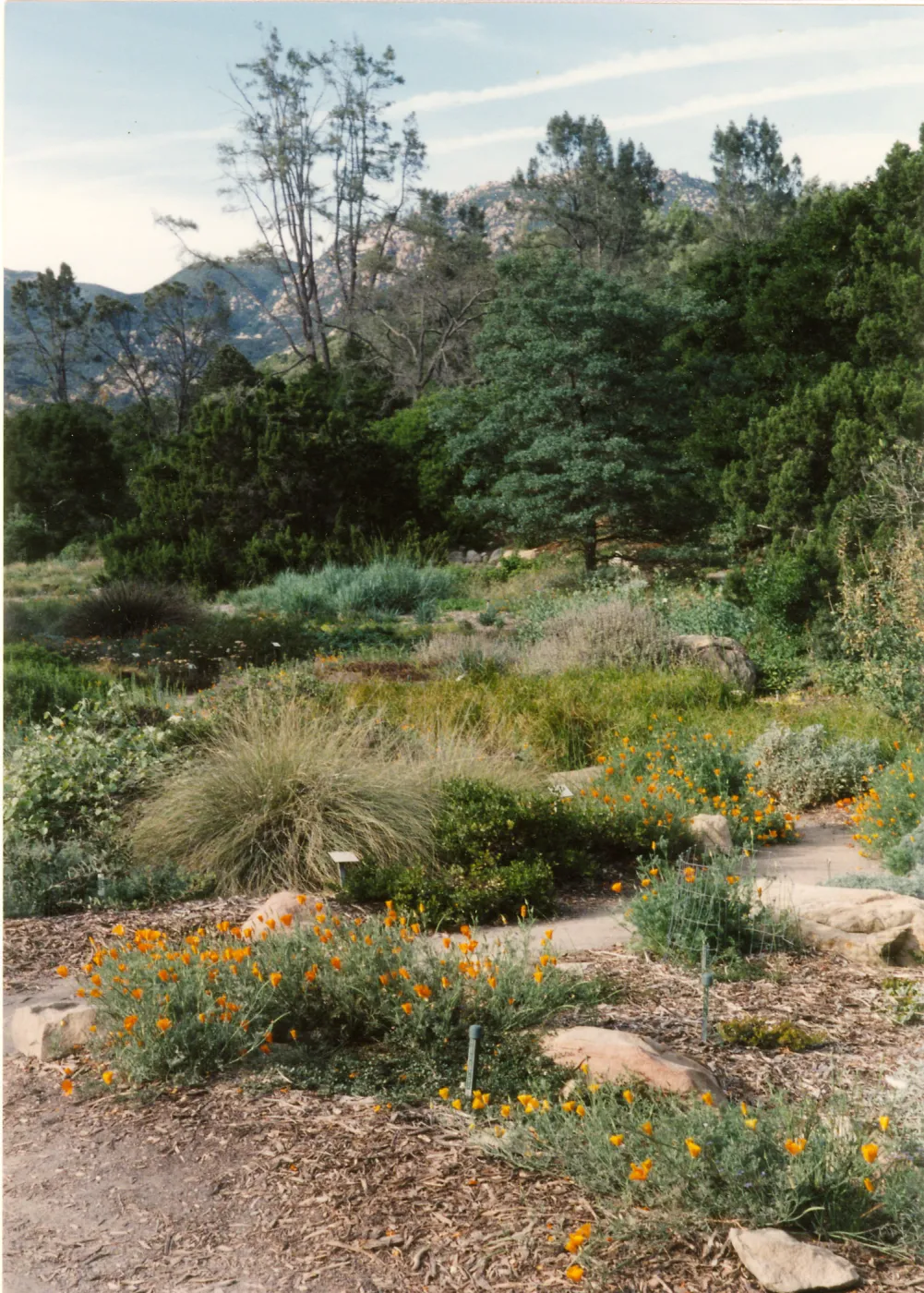 Ground cover section