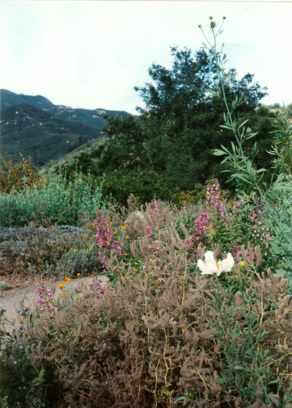 Porter Trail