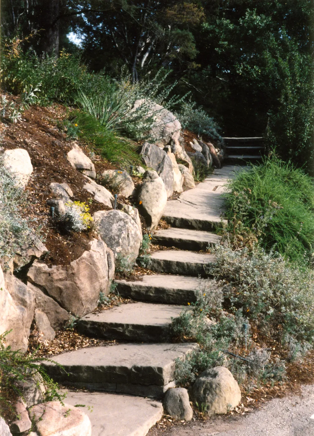 Steps--Mission Canyon Rd. to Porter Trail