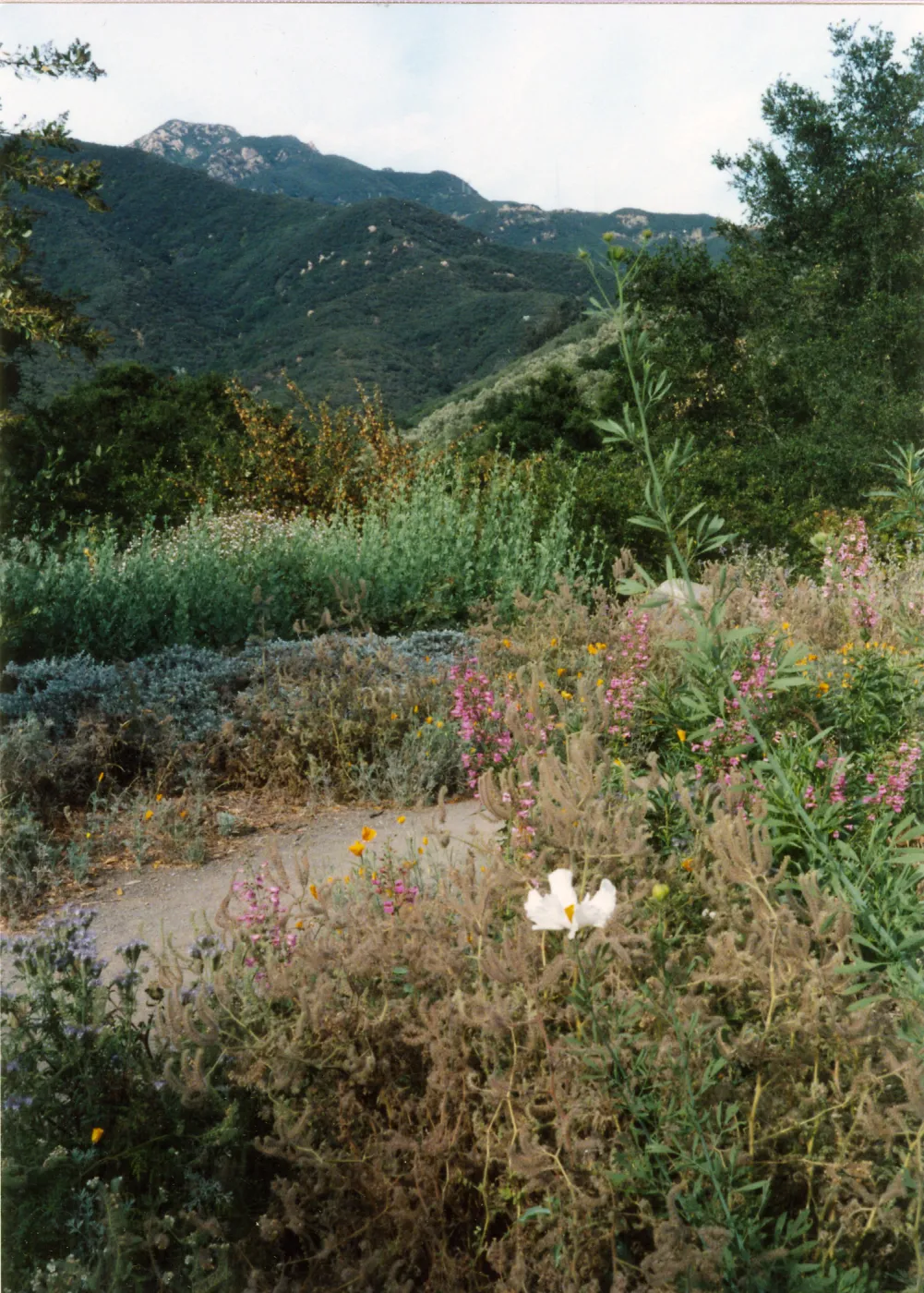 Porter Trail
