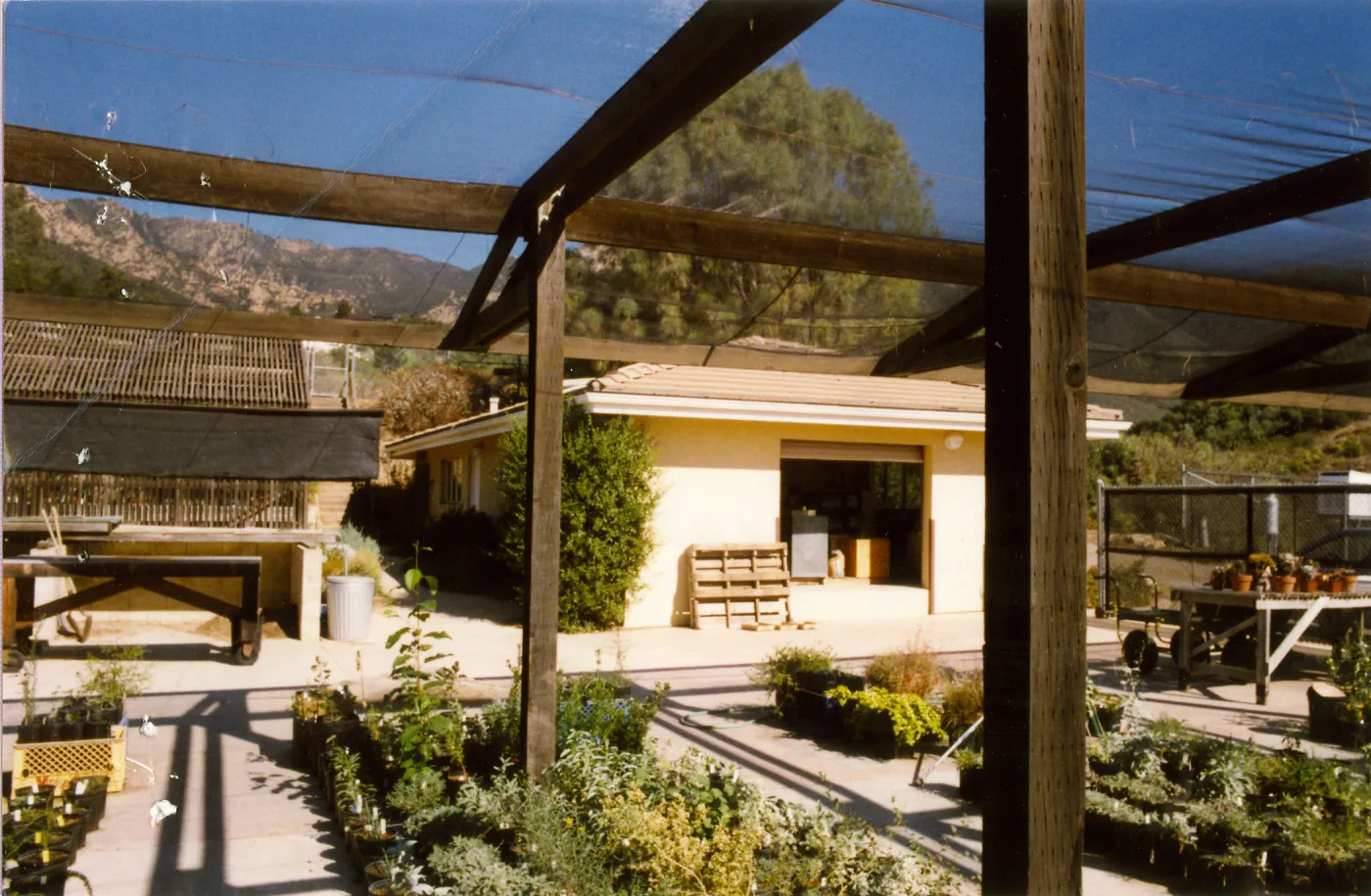 Horticulture yard, looking north