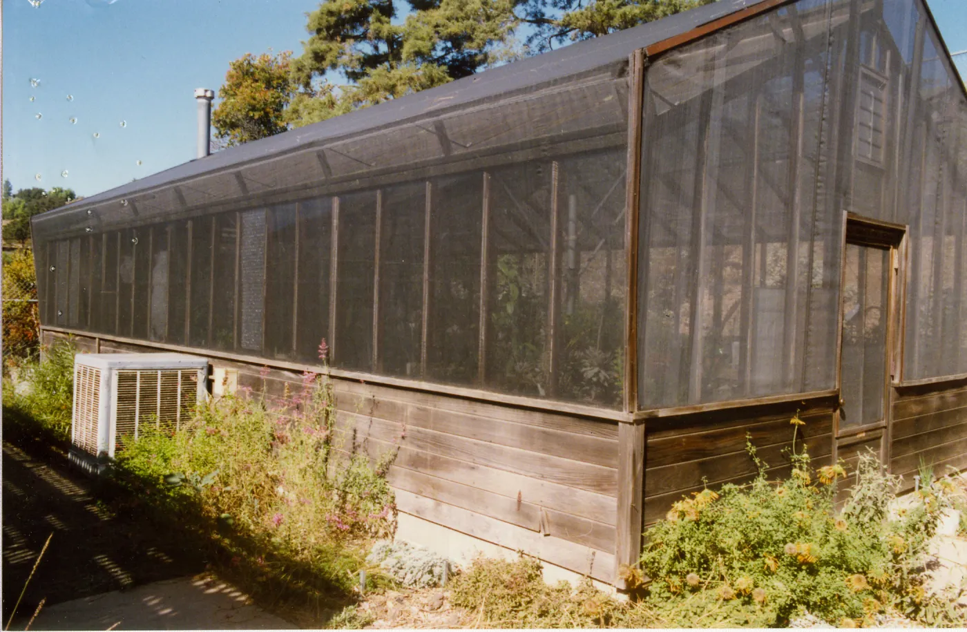 Horticulture Unit, Lath house #1