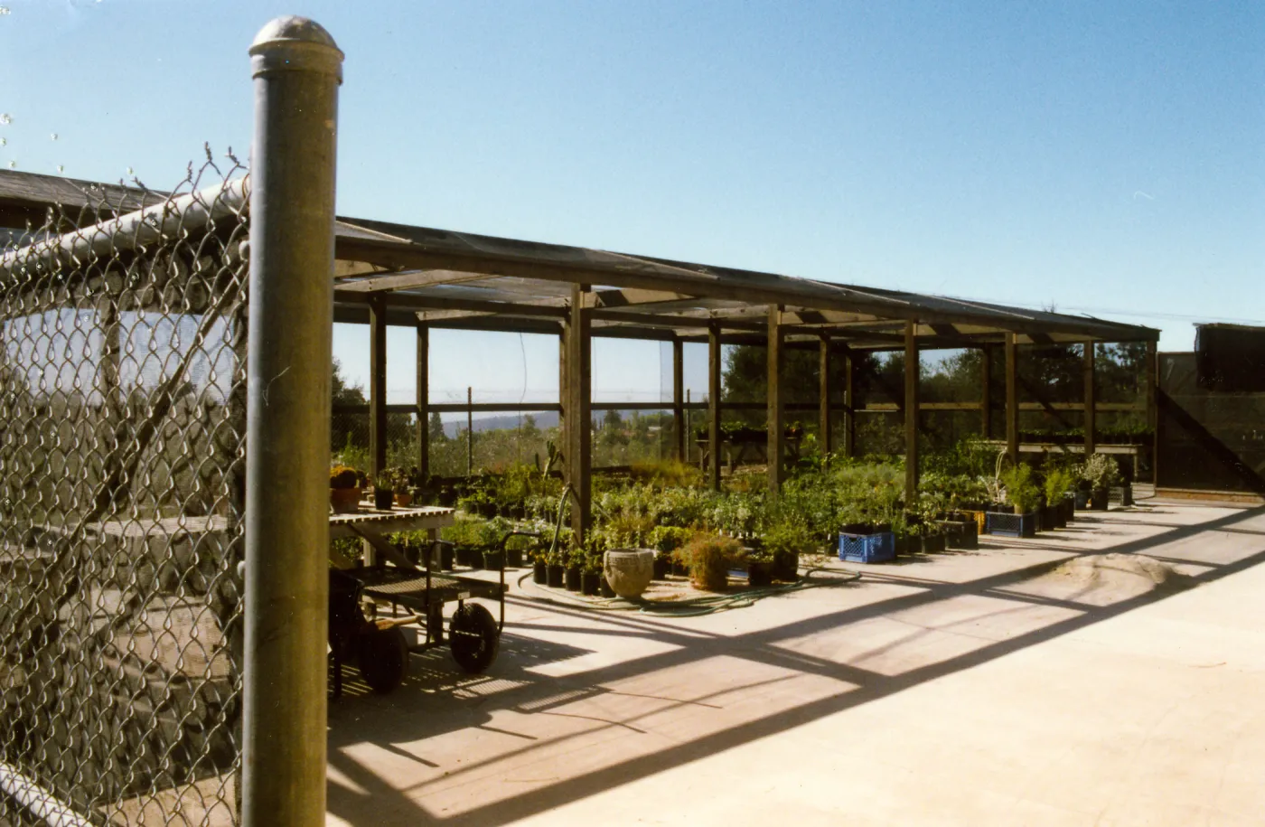 Horticulture yard, Shade #1