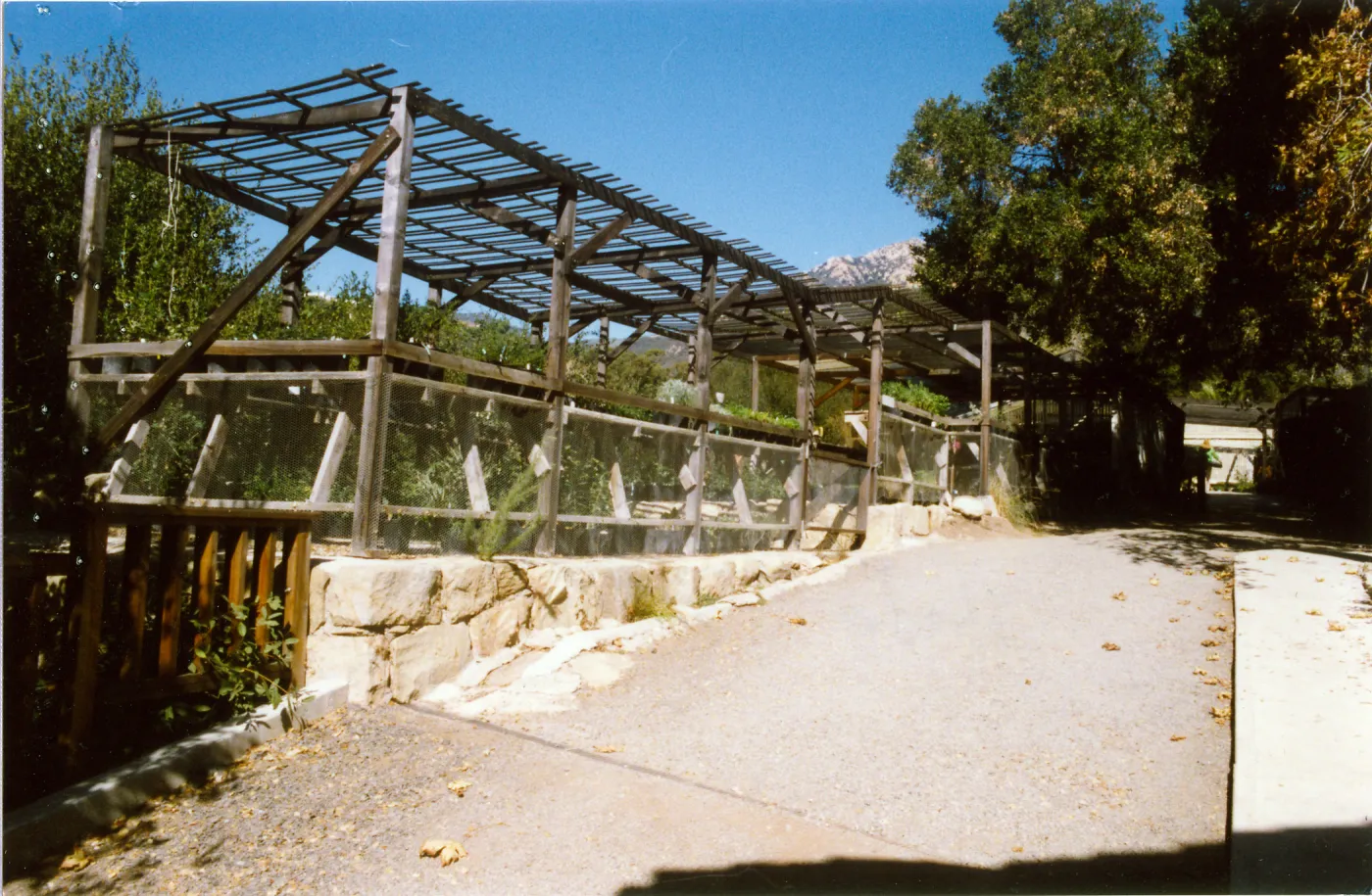 Canyard, Garden Growers, looking north