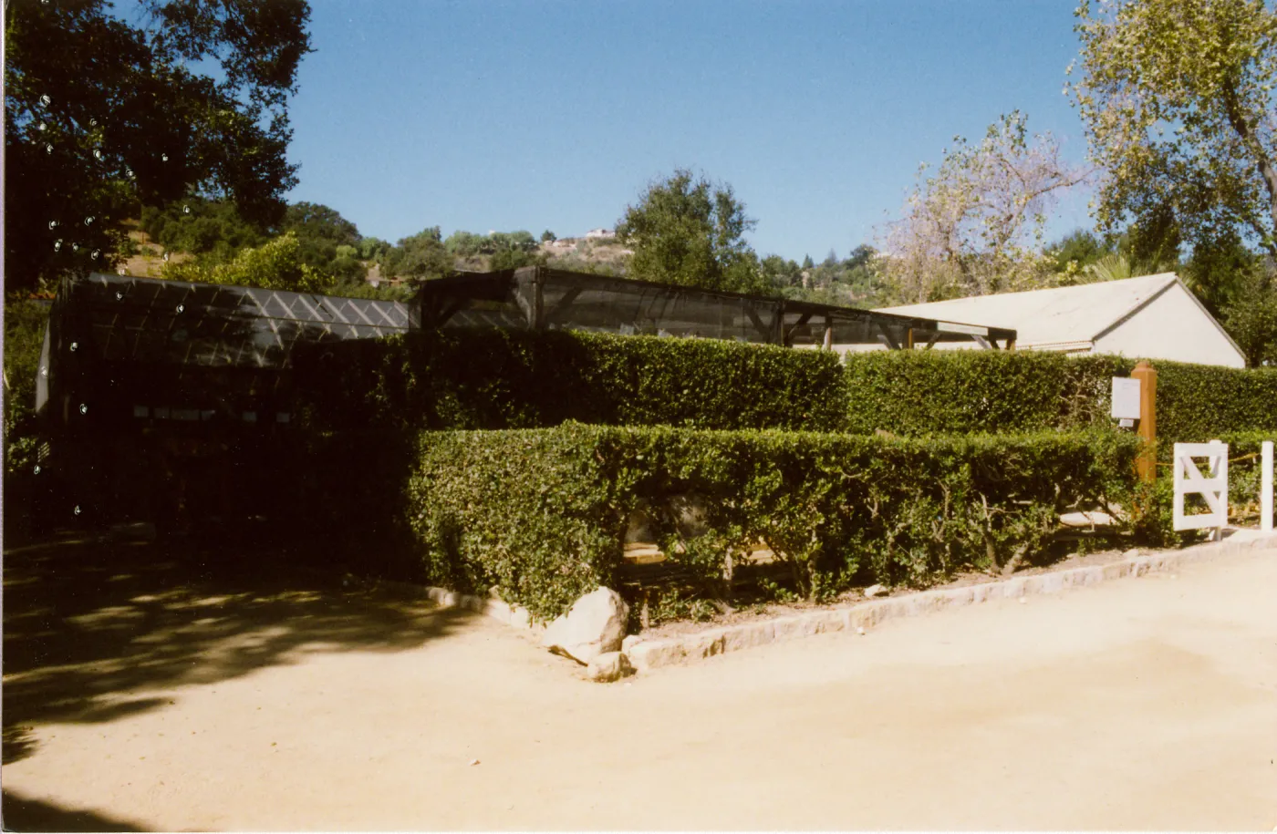 Courtyard, Garden Growers Nursery