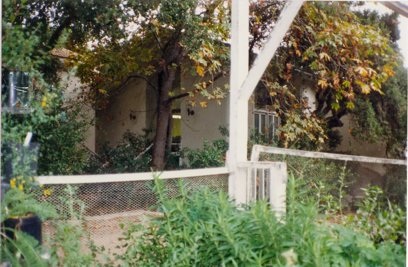 Back corner of Library, entrance to Herbarium from Garden Growers canyard