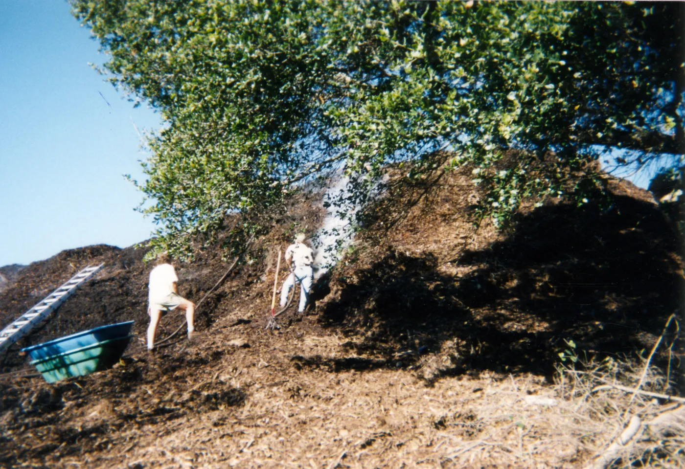 Mulch pile on ridge above Hort Unit that caught on fire and was removed