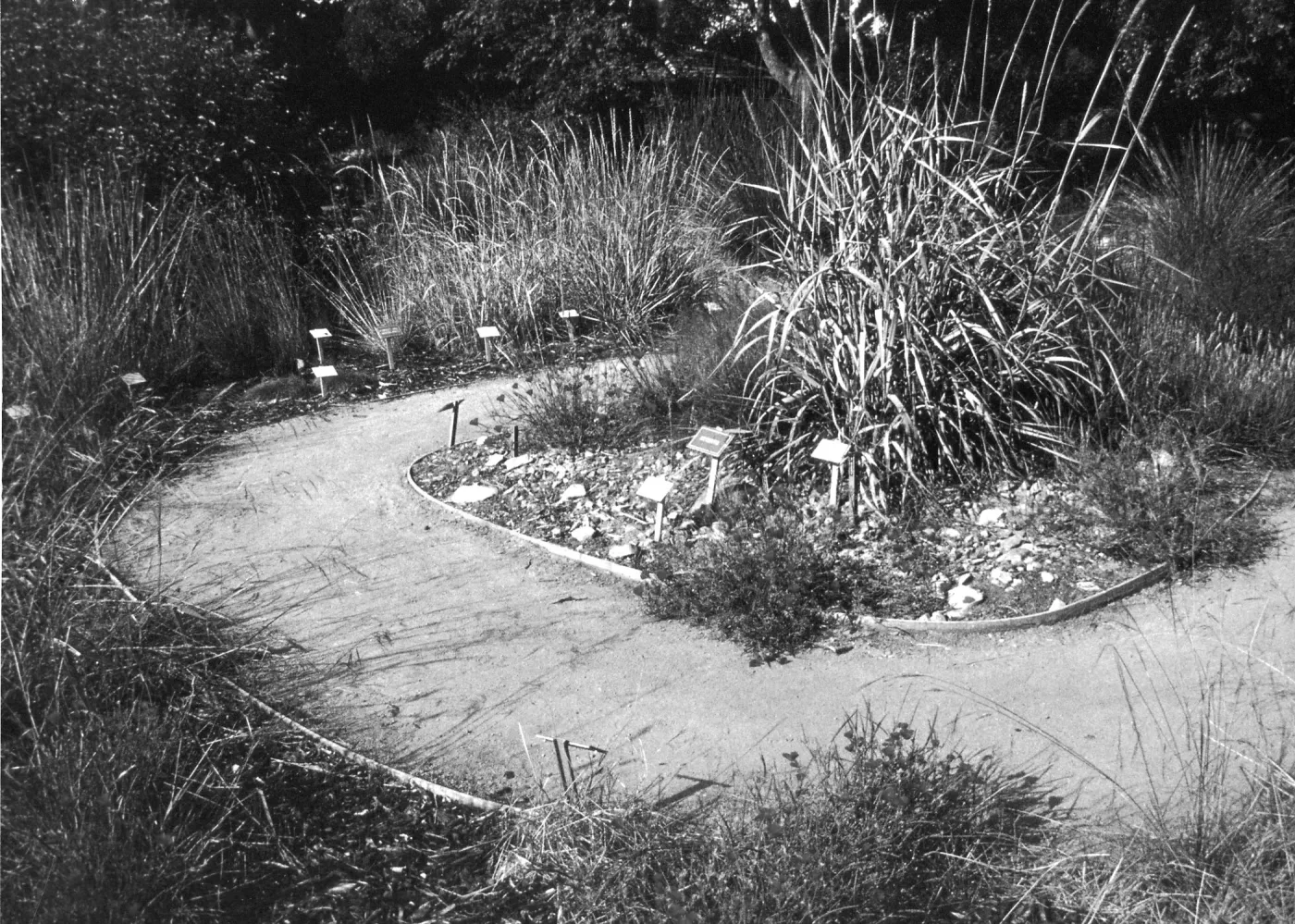 2014 AAM Accreditation Self-Study Documentation: Bunchgrass display