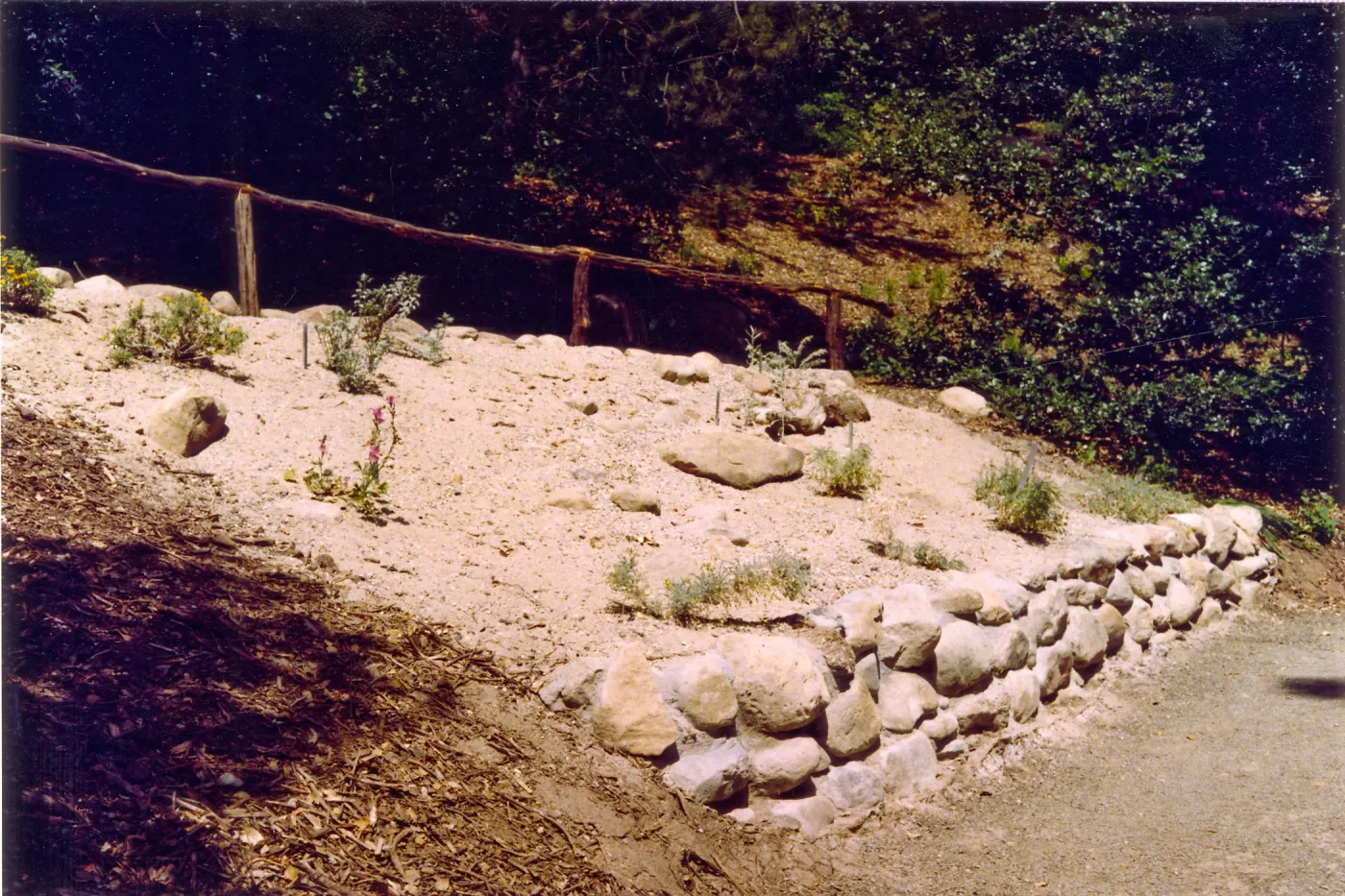 New Dune / Riverbed display in Island Section, summer 1992